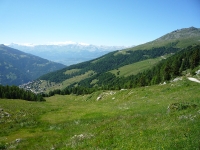 Skigebied in de zomer